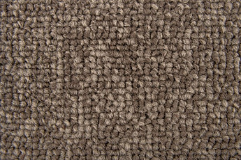 Ковровая плитка Standard Carpets Spectrum sm 545 фото 1 | FLOORDEALER