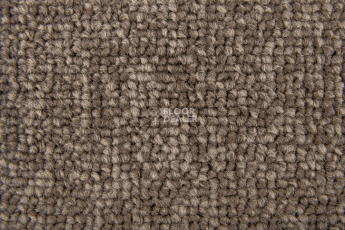 Ковровая плитка Standard Carpets Spectrum sm 545 фото 1 | FLOORDEALER