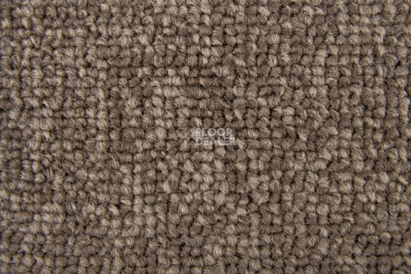 Ковровая плитка Standard Carpets Spectrum sm 545 фото 1 | FLOORDEALER