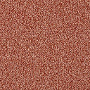 Ковролин Lano Corindo Coi 0332  | FLOORDEALER