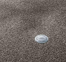 Ковролин Vorwerk Superior 1064/Lyrica Vorwerk 5x81 фото 1 | FLOORDEALER