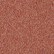 Ковролин Lano Corindo Coi 0332 фото 1 | FLOORDEALER