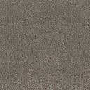 Ковролин Desso Asteranne 9114  | FLOORDEALER