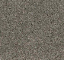 Ковролин Desso Asteranne 9114 фото 1 | FLOORDEALER