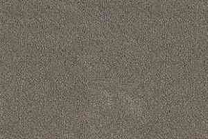Ковролин Desso Asteranne 9114 фото  | FLOORDEALER