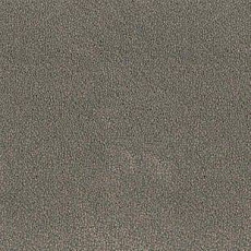 Ковролин Desso Asteranne 9114 фото 1 | FLOORDEALER
