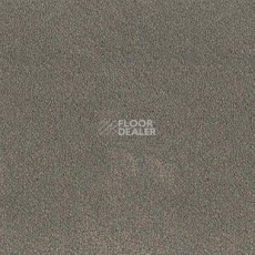 Ковролин Desso Asteranne 9114 фото 1 | FLOORDEALER