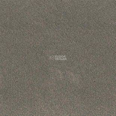 Desso Asteranne 9114 фото 1 | FLOORDEALER