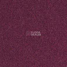 Ковролин Balsan Les Greens Confort+ 598 фото 1 | FLOORDEALER