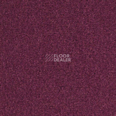 Ковролин Balsan Les Greens Confort+ 598 фото 1 | FLOORDEALER