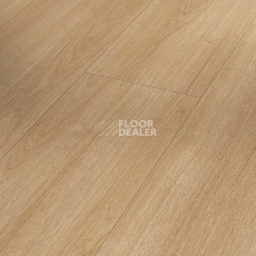 Ламинат Parador Basic Plus 600 XS 1744351 Дуб Престиж Природа фото 1 | FLOORDEALER