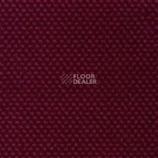 Ковролин Sintelon Podium 74513 фото 1 | FLOORDEALER