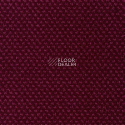 Ковролин Sintelon Podium 74513 фото 1 | FLOORDEALER