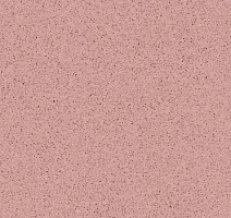 Линолеум Tarkett Primo Plus Depot Primo 307 фото 1 | FLOORDEALER