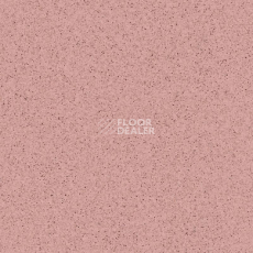 Линолеум Tarkett Primo Plus Depot Primo 307 фото 1 | FLOORDEALER