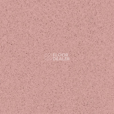 Линолеум Tarkett Primo Plus Depot Primo 307 фото 1 | FLOORDEALER