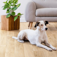 Tarkett Praktika OTTO_2 фото 2 | FLOORDEALER