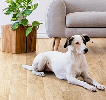 Tarkett Praktika OTTO_2 фото 2 | FLOORDEALER