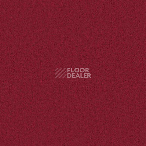 Ковролин Forbo Showtime Nuance 900206 фото 1 | FLOORDEALER