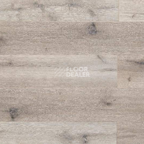 Кварцвиниловые полы Aquafloor Space AF4034SPC фото 1 | FLOORDEALER