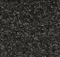 Ковролин AW Gala Equator 99 фото 1 | FLOORDEALER