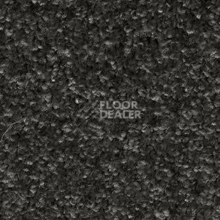 Ковролин AW Gala Equator 99 фото 1 | FLOORDEALER