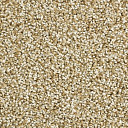 Ковролин Balsan Script 605  | FLOORDEALER