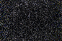 Flotex Colour embossed tiles to 546908 Metro Anthracite Organic Embossed фото 3 | FLOORDEALER