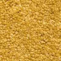 Ковролин AW Vivendi Vigour 54 фото 1 | FLOORDEALER