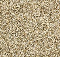 Ковролин Balsan Script 605 фото 1 | FLOORDEALER