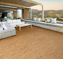 Balta Basket Rainbow