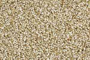 Ковролин Balsan Script 605 фото  | FLOORDEALER