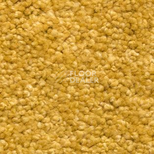 Ковролин AW Vivendi Vigour 54 фото 1 | FLOORDEALER