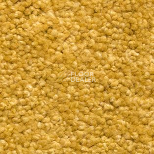 Ковролин AW Vivendi Vigour 54 фото 1 | FLOORDEALER