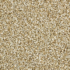 Ковролин Balsan Script 605 фото 1 | FLOORDEALER