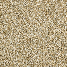 Ковролин Balsan Script 605 фото 1 | FLOORDEALER