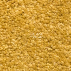 Ковролин AW Vivendi Vigour 54 фото 1 | FLOORDEALER