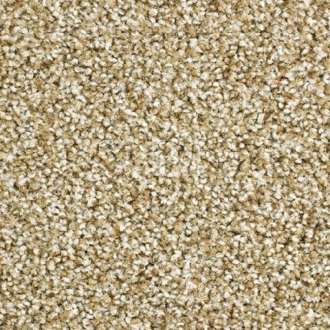 Ковролин Balsan Script 605 фото 1 | FLOORDEALER