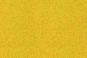 Ковролин Desso Asteranne 6116 фото  | FLOORDEALER