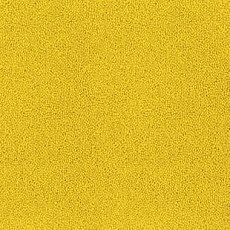 Ковролин Desso Asteranne 6116 фото 1 | FLOORDEALER