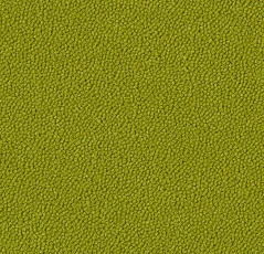 Ковровая плитка Westbond Ibond зеленая гамма 9430 фото 1 | FLOORDEALER