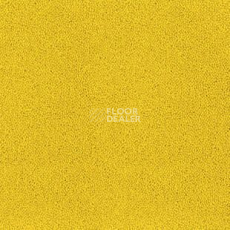 Ковролин Desso Asteranne 6116 фото 1 | FLOORDEALER