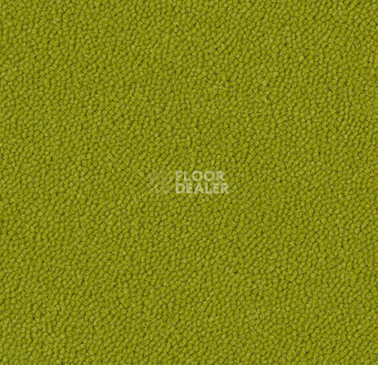 Ковровая плитка Westbond Ibond зеленая гамма 9430 фото 1 | FLOORDEALER