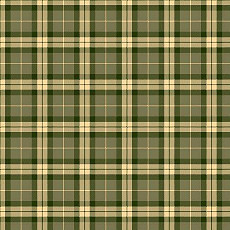 Agnella Impulse Tartan Green фото 1 | FLOORDEALER