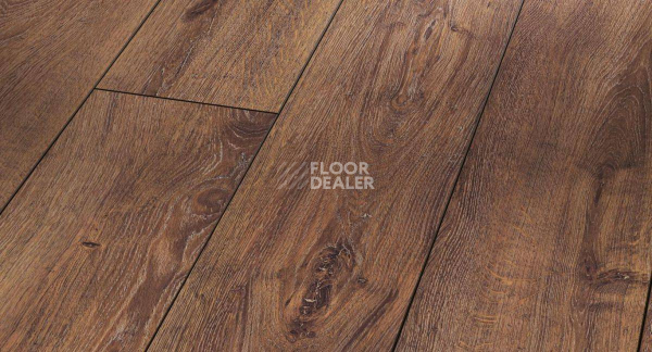 Ламинат Parador Trendtime 6 1254825 Дуб Коньячный фото 1 | FLOORDEALER