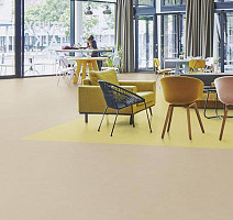Forbo Marmoleum Solid Concrete 3729-372935 mica фото 3 | FLOORDEALER