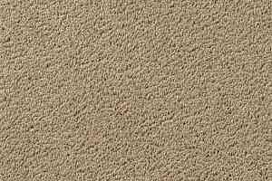 Ковролин Vorwerk Passion 1003 Vorwerk 8h98 фото  | FLOORDEALER