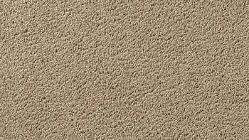 Ковролин Vorwerk Passion 1003 Vorwerk 8h98 фото 1 | FLOORDEALER