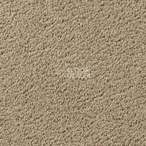 Ковролин Vorwerk Passion 1003 Vorwerk 8h98 фото 1 | FLOORDEALER