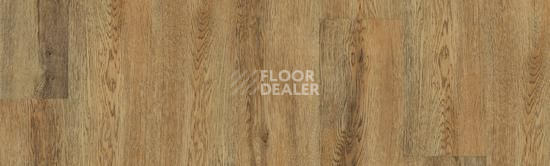 Кварцвиниловые полы Tarkett Art Vinyl Epic ALAN фото 1 | FLOORDEALER